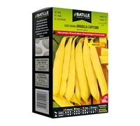 Semi Battle - Fagiolo Enana