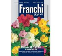 Semi Bella di Notte Multicolor Fiori Franchi Sementi 5g