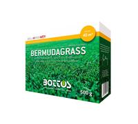 SEMI BERMUDA GRASS BOTTOS SCATOLA 500GR