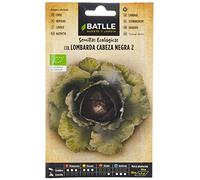 Semi bio - cavolo rosso Schwarzkopf 2 (225 semi - biologico)