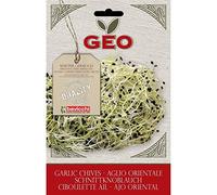 Bavicchi Semi per Germogli di Aglio Orientale Bio - 6 g