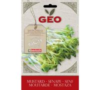 SEMI BIO DI SENAPE PER GERMOGLI 50GR SEMENZAIO SEMENTI SEEDS