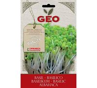 SEMI BIO GERMOGLI DI BASILICO FOGLIE VERDI 5 GR GERMOGLIATORE ORTO