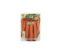 Semi biologici di Carota Berlicum 3