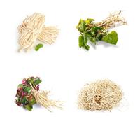 Semi biologici di Houttuynia cordata, prodotti sostenibili semi di balcone con aiuola selvatiche vecchie varietà da balcone resistenti 300pcs