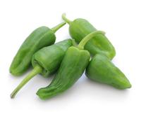 Semi biologici di Pimientos de Padrón - peperoncino dolce da seminare tipo spagnolo | 25 semi per orto balcone serra | semi orto biologico Love my Nature