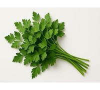 Semi Biologici di Prezzemolo Comune 2 a Foglia Liscia - 750 Semi - Prezzemolo Aromatico per Orto, Vasi, Balcone, Aiuole Rialzate e Davanzale