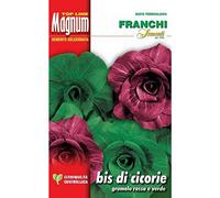 SEMI BIS DI CICORIE BUSTA MAGNUM FRANCHI SEMENTI