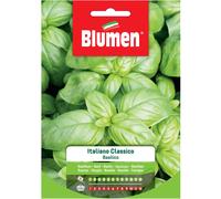Semi Blumen Basilico italiano classico 20 g