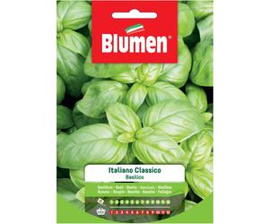 Semi Blumen Basilico italiano classico 20 g