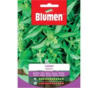 Semi Blumen Basilico lemon