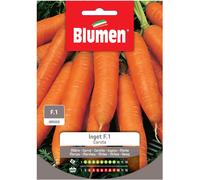Semi Blumen Carota f.1