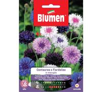Semi Blumen Centaurea o fiordaliso in miscuglio