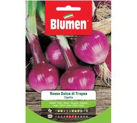 Semi Blumen Cipolla rossa dolce di Tropea 20 g