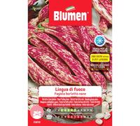 Semi Blumen Fagioli borlotti nani Lingua di fuoco 250 g