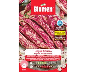Semi Blumen Fagioli borlotti nani Lingua di fuoco 250 g
