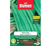 Semi Blumen Fagiolini rampicanti Blue Lake 250 g