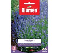 Semi Blumen lavanda da bordura