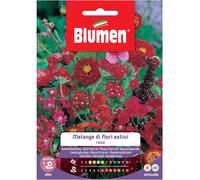 Semi Blumen Melange di fiori estivi rossi