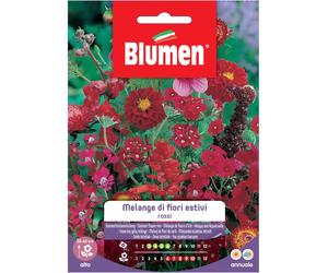Semi Blumen Melange di fiori estivi rossi