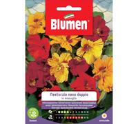 Semi Blumen nasturzio nano doppio in miscuglio