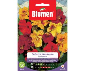 Semi Blumen nasturzio nano doppio in miscuglio