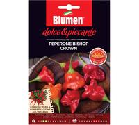 Semi Blumen Peperone Bishop crown