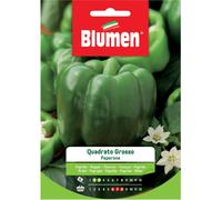 Semi Blumen Peperone grosso quadrato