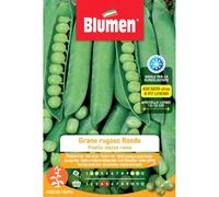 Semi Blumen Piselli mezza rama grano rugoso rondo 250 g