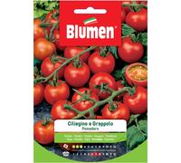Semi Blumen Pomodoro ciliegino a grappolo