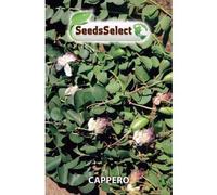 Semi Cappero Siciliano 2 Buste