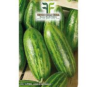 Semi Carosello Spuredda Tarantino - Cucumis melo var - Adzhur In Confezione Originale Prodotto in Italia - Caroselli