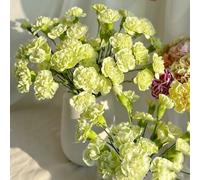 semi chiodi di garofano semi resistenti balcone giardino interno vaso 300pcs