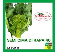 SEMI CIMA DI RAPA 500 GR QUARANTINA A CIMA GRANDE SEMENTI F.LLI ZAGARIA ORTO 40
