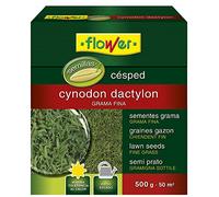 Flower 10796 10796-Seme Cynodon Dylon, 500 g, Non Si Applica, 14.4x6x16 cm