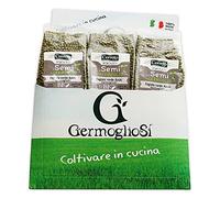 Semi da germoglio TRIS PACK FAGIOLO VERDE AZUKI nr. 3 confezioni da 190 gr l'una