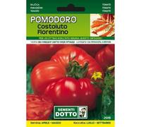 Semi da Orto - Pomodoro Costoluto Fiorentino - Sem. Dotto