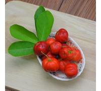 Semi di acerola acquistare semi di ciliegio balcone vecchie varietà serre balcone resistenti giardino esotico, 120pcs