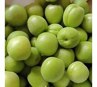 semi di albicocca - biologici serra balcone biologici resistenti per da fresca 5pcs