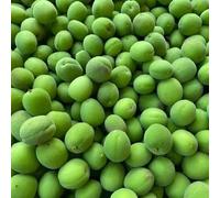 semi di albicocca - resistenti alla fresca rare da appartamento purificatrici dell'aria esotiche 20pcs