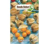 Semi di Alchechengi del Perù in Bustina, Semi da Giardino
