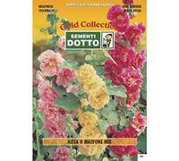 Semi di Altea O MALVONE in Mix - h cm 200