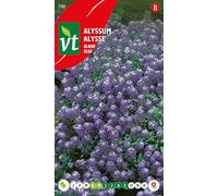 Semi di Alysse Bleu - Pianta Affusolata per Bordure - Colore Blu - Facile da Coltivare - 0,5 g