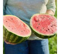 semi di anguria, da giardino semi di melone biologici per luoghi soleggiati 100pcs