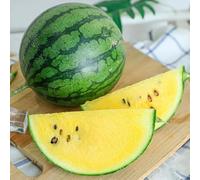 semi di anguria, le da giardino roccioso sono resistenti fresca regali del giardino resistenti all'esterno 300pcs