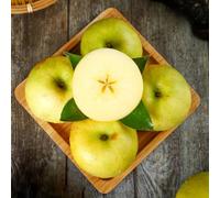 semi di antiche varietà di melo - interna in vaso estremamente resistenti balcone 10pcs