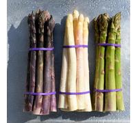 Semi di asparagi balcone con serra giardino sul balcone resistenti resistenti invernali per giardini rocciosi semi di vecchie varietà 200pcs