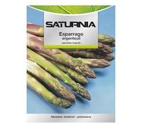 Semi di asparagi da giardino