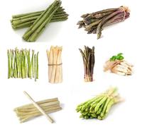semi di asparagi inverno sul balcone medicinali di asparagi estivi, 300pcs