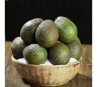Semi di avocado, acquistare per giardinieri vecchie varietà resistenti resistenti esotico raro semi di 40pcs